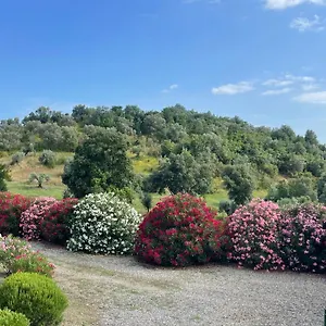 Tenuta Podere Montauzzo Italia
